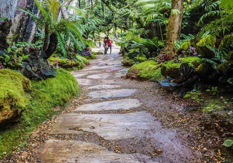 Flagstone garden path through mature planting